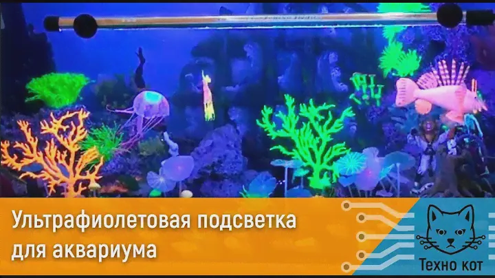 Ультрафиолетовая подсветка для аквариума своими руками